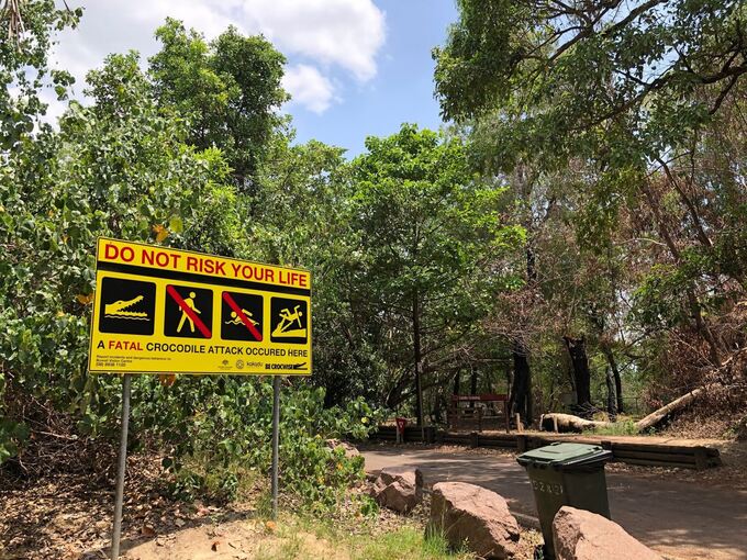 Krokodile in Australien