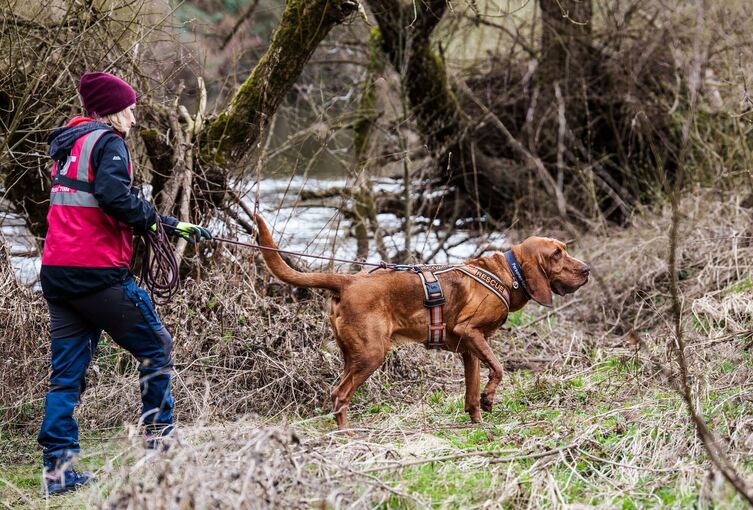 Suche nach vermisstem Sechsjährigen geht weiter