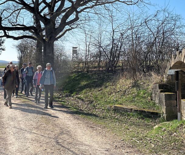 Das Wengerthäusle im Blick.