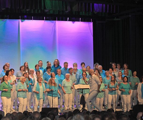 Der Chor begeisterte das Publikum in Neckargröningen.