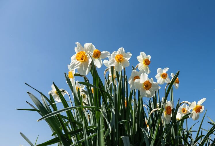 Frühling in Baden-Württemberg Frühling in Baden-Württemberg