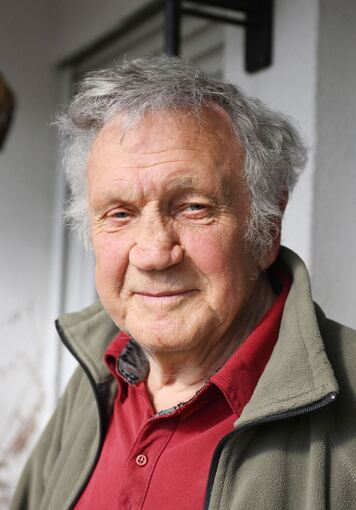 Ameisenplage in Schutterwald