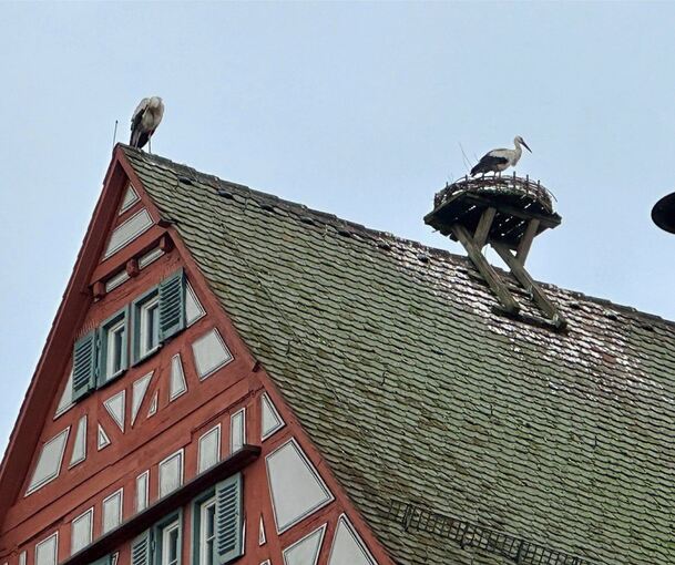 Georg Angst hat der Stadt dieses Foto zur Verfügung gestellt.