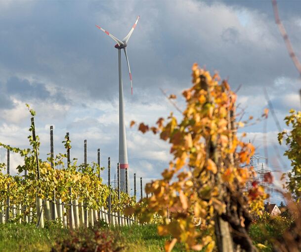 Windrad in Ingersheim: Ob hier in direkter Nachbarschaft eine zweite Anlage entstehen wird, ist derzeit noch strittig.