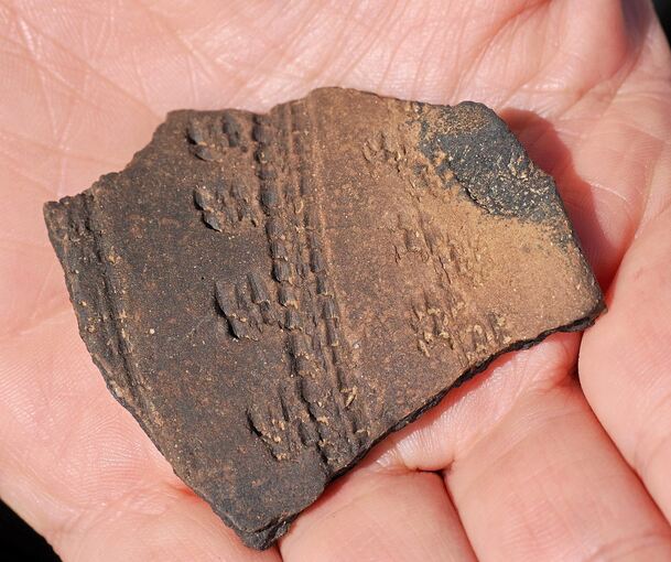 Eine verzierte Keramikscherbe der sogenannten Großgartacher Kultur.