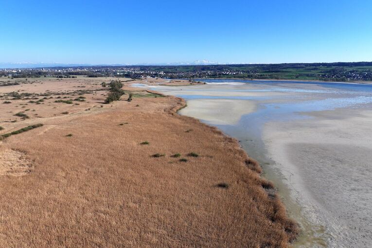 Wasserstand des Bodensees
