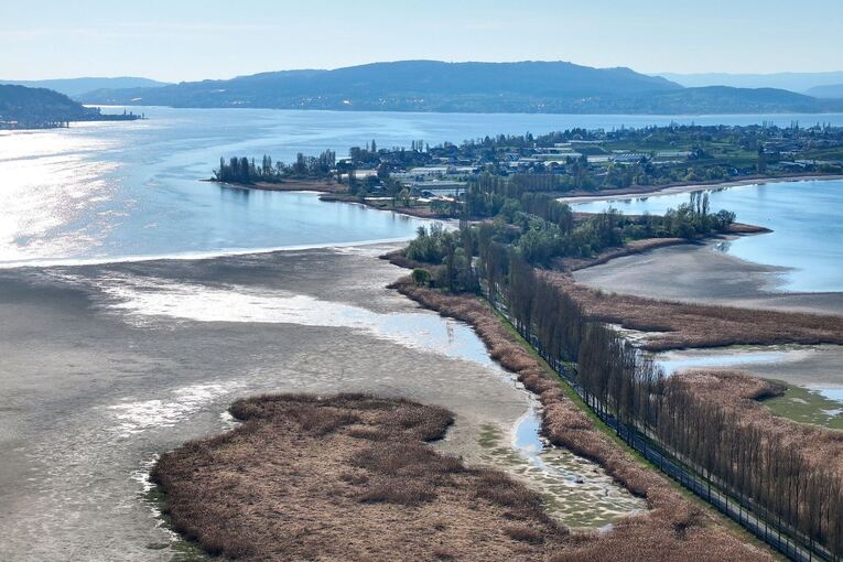 Wasserstand des Bodensees