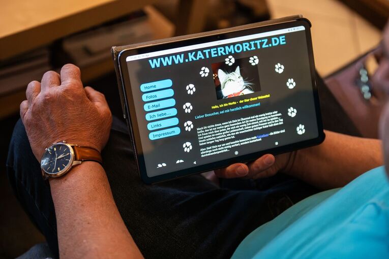 Kater Moritz erhält GEZ-Bescheid