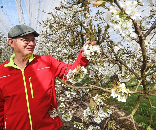 Thomas Häberle vom Talhof inmitten seiner Obstplantagen.