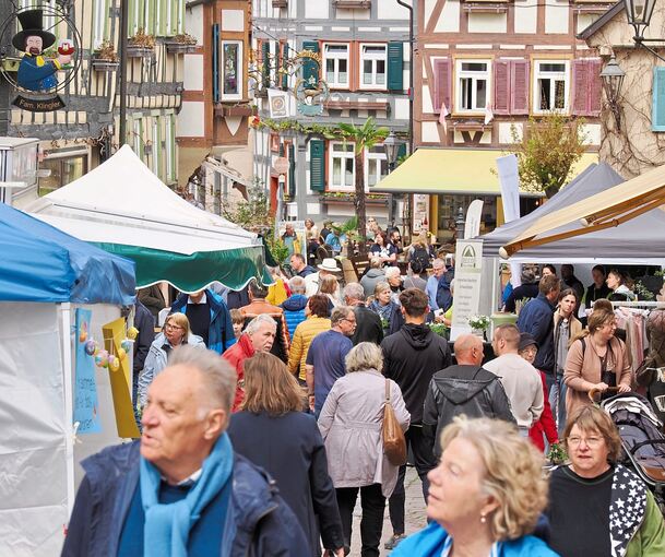 Die Besigheimer Altstadt war am Sonntagnachmittag gut besucht. Auch von gelegentlichem Nieselregen ließen sich die Besucher nicht abschrecken.