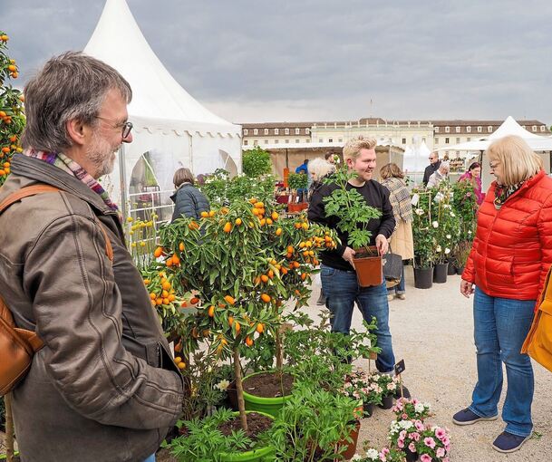Die Auswahl an angesagten Pflanzen ist einfach riesig. Da fällt die Entscheidung nicht leicht.
