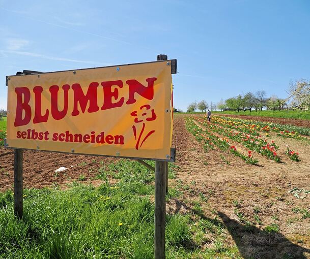 Große Schilder weisen meist auf die Blumenfelder hin.