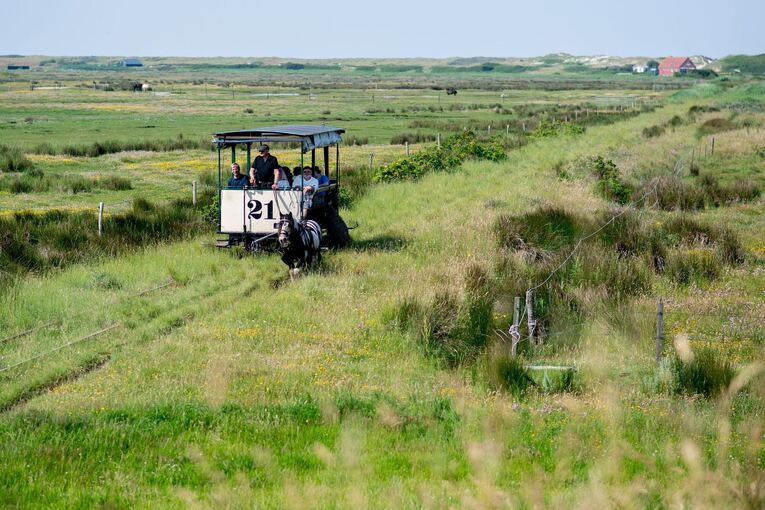 Sommerwetter auf Spiekeroog