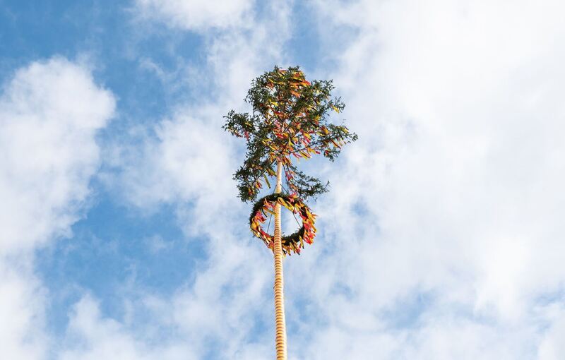 Maibaum