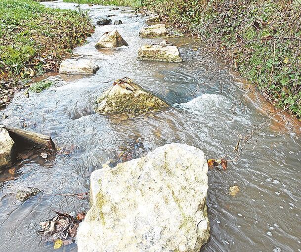 An den meisten Tagen ist der Baumbach ein Idyll, bei Starkregen aber ist er eine Gefahr.