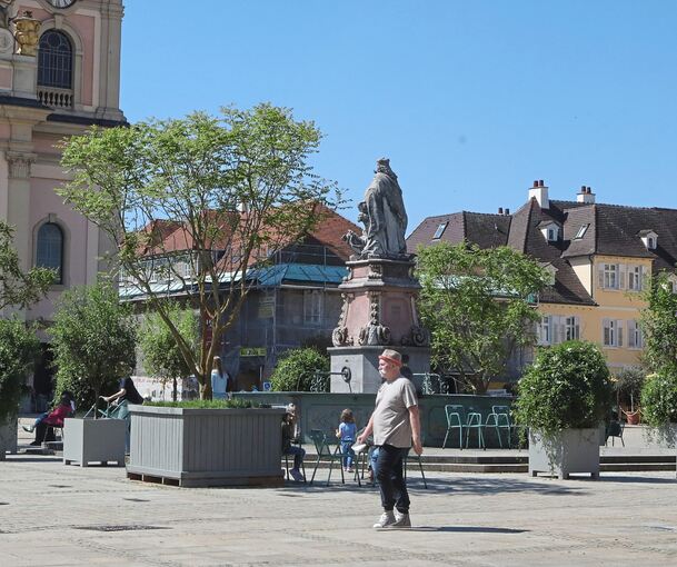 Es grünt so grün: Fast ein kleines Wäldchen ist rund um den Marktplatzbrunnen entstanden.