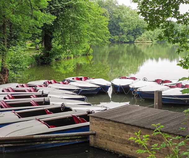 Ein Bild aus dem vergangenen Jahr. Über 25 Jahre war der Bootsverleih am Monrepos.