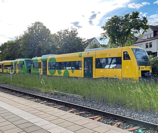Um ein besseres Angebot auf der Strohgäubahn machen zu können, wurden zwei gebrauchte Fahrzeuge gekauft – auch das belastet anteilig die kommunalen Kassen.