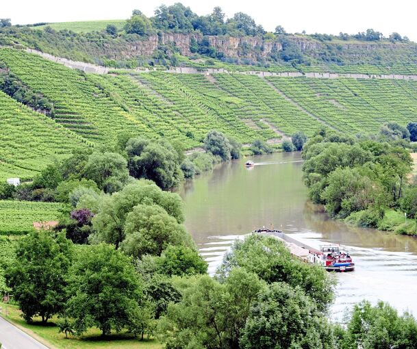 Weinbergsteillagen mit Trockenmauern in den Felsengärten: Brachliegende und zugewachsene Parzellen gehören längst zum Landschaftsbild.