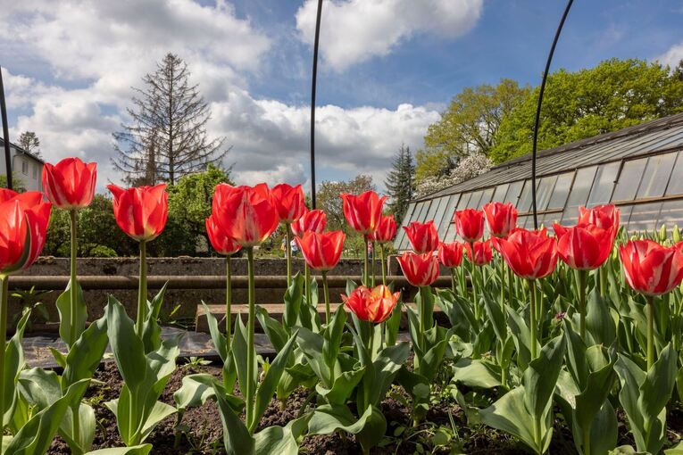 Wetter am Ostersonntag - Hessen