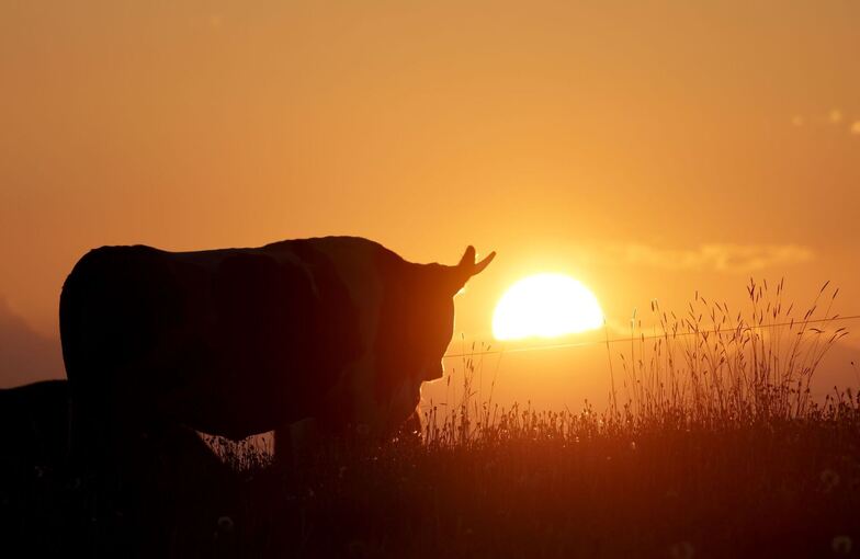 Wetter in Baden-Württemberg