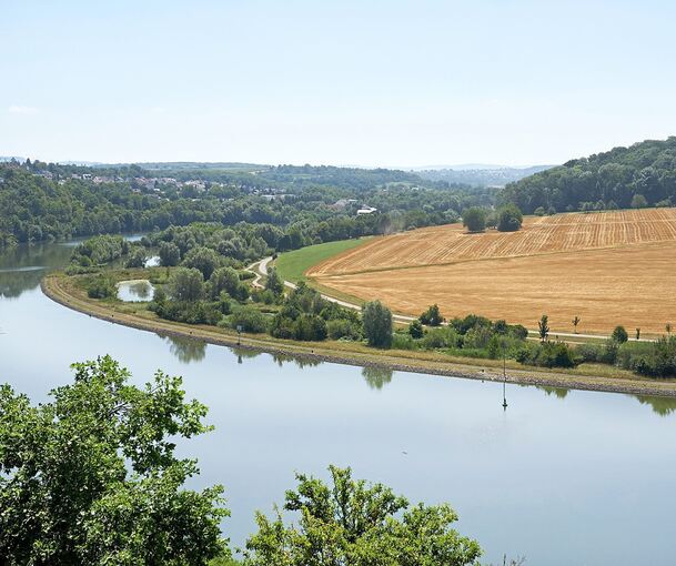 Hier ist der Neckar schon erlebbar: Die Ludwigsburger Zugwiesen.