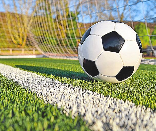 Ein Fußball liegt hinter der Torlinie.