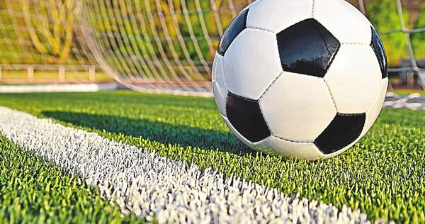 Ein Fußball liegt hinter der Torlinie.