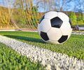 Am Donnerstagabend beginnt der NEB-Cup. Am Donnerstagabend beginnt der NEB-Cup.