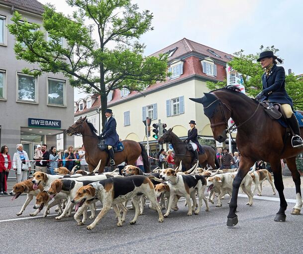 Kein Pferdemarkt, kein Umzug. Ludwigsburg wird 2026 auf diese Großveranstaltung verzichten.