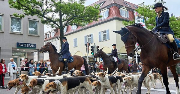 2026-wird-es-keinen-Pferdemarkt-in-Ludwigsburg-geben