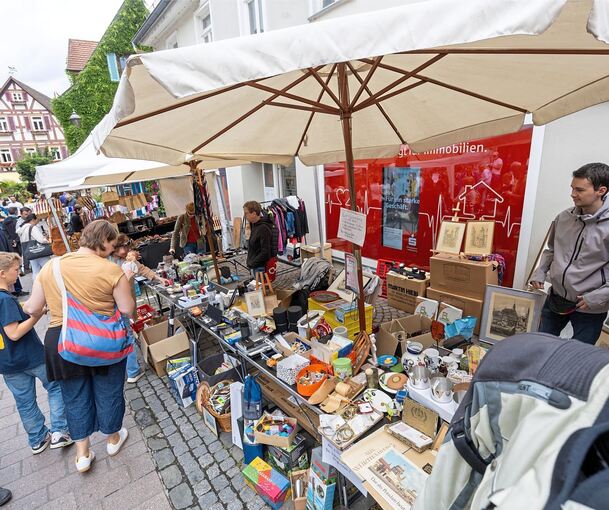 Die Besigheimer Innenstadt war bestens besucht – dank des Stadtflohmarkts und des gleichzeitig veranstalteten verkaufsoffenen Sonntags.
