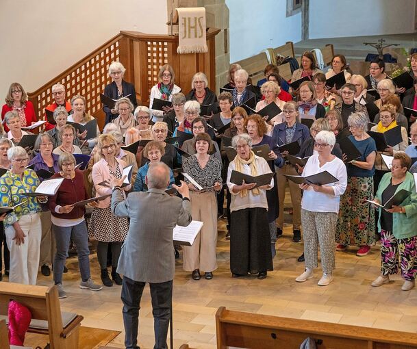 Rund zehn Chöre traten am vergangenen Sonntagabend in der Besigheimer Stadtkirche auf.