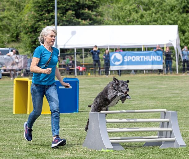 Fitness ist bei Mensch und Tier gefordert.