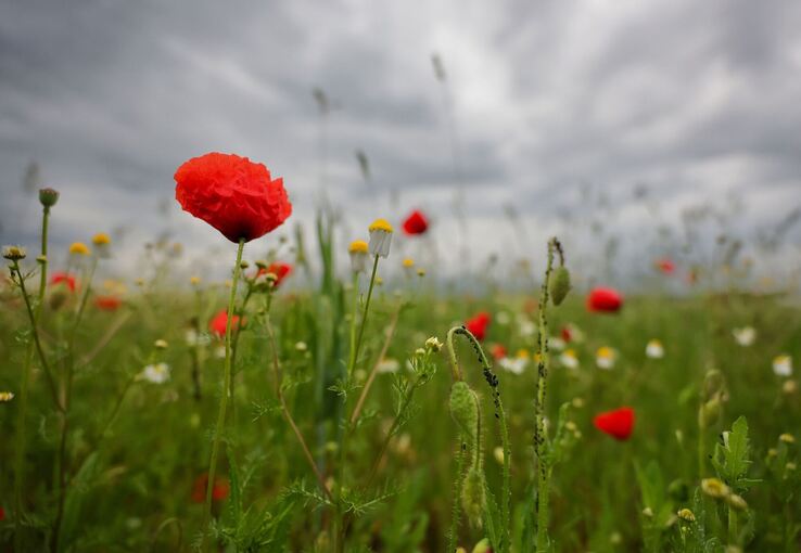 Wetter in Baden-Württemberg