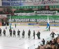 Mit Teamgeist und Leidenschaft wollen die Steelers auch die DEL 2 aufmischen. Der Durchmarsch in die DEL ist  abe nicht möglich. Mit Teamgeist und Leidenschaft wollen die Steelers auch die DEL 2 aufmischen. Der Durchmarsch in die DEL ist aber in der neuen Saison noch nicht möglich.