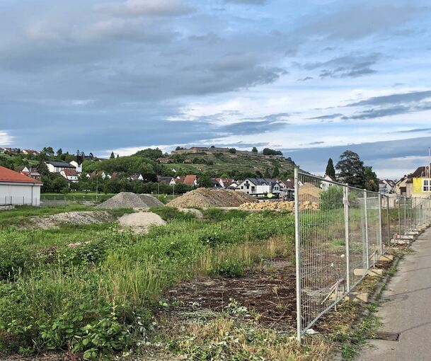 Brache mit geschichtsträchtigem Hohenasperg im Hintergrund: Hier soll jetzt bald die Vermarktung für den ersten Bauabschnitt losgehen.