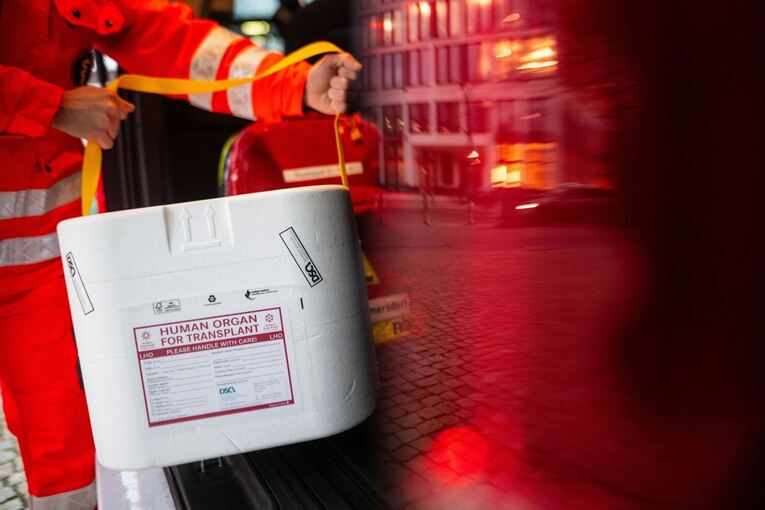 Illustration - Organspende