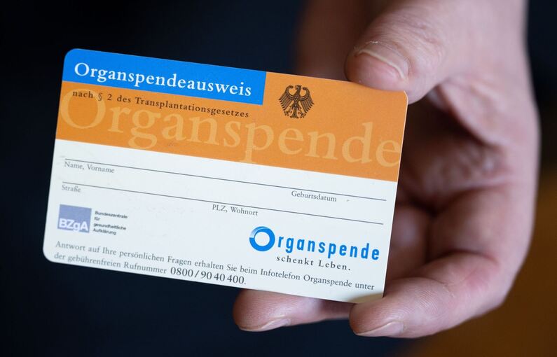 Eine Frau hält einen Organspendeausweis in ihren Händen Eine Frau hält einen Organspendeausweis in ihren Händen