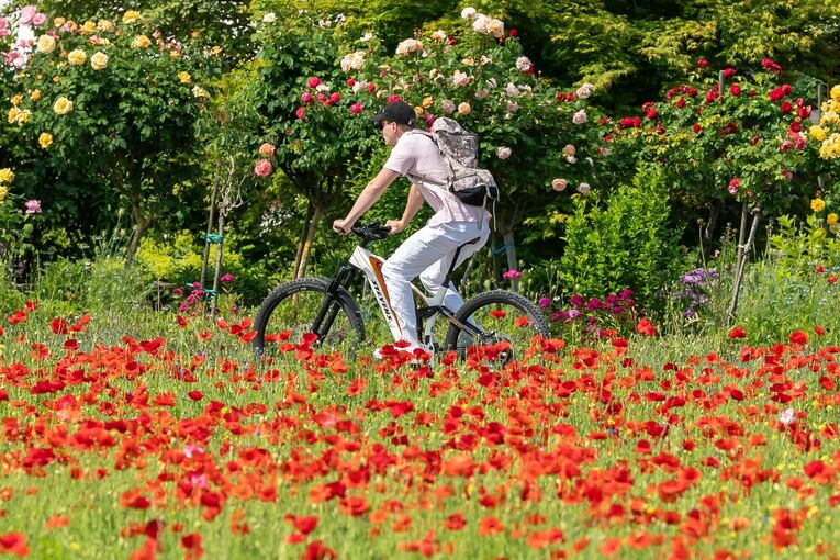So wird das Wetter zum Start in die kurze Woche in Baden-Württem