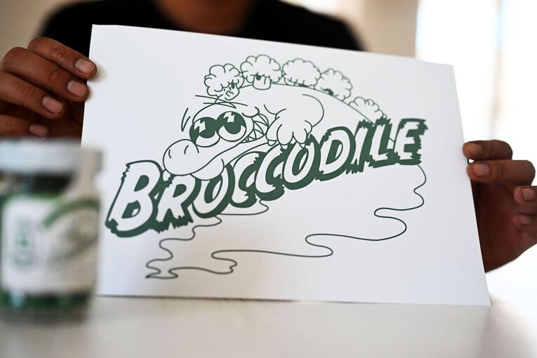 Firma Broccodile