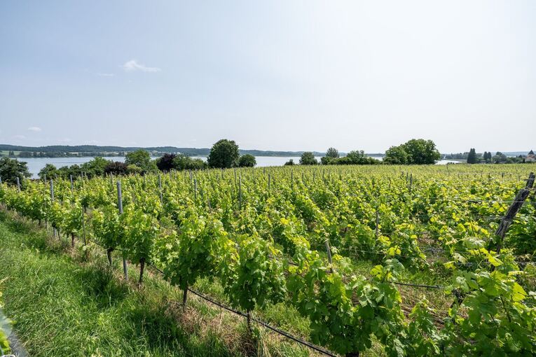 Wetter in Baden-Württemberg