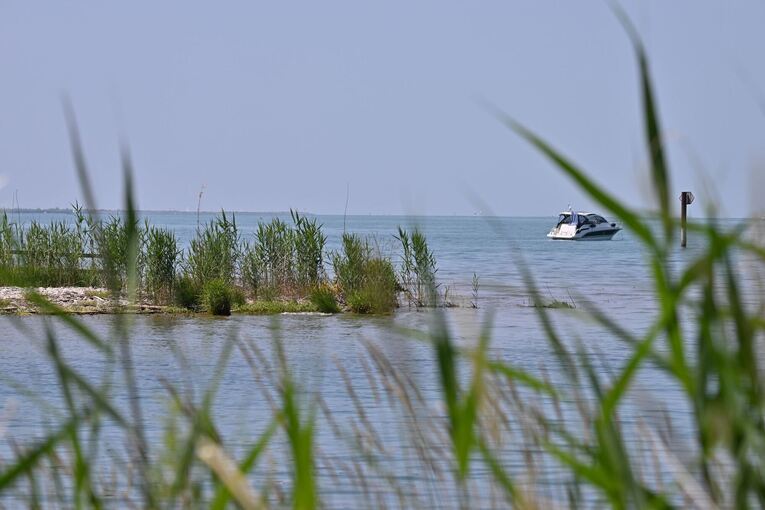 Nacktbaden am Bodensee