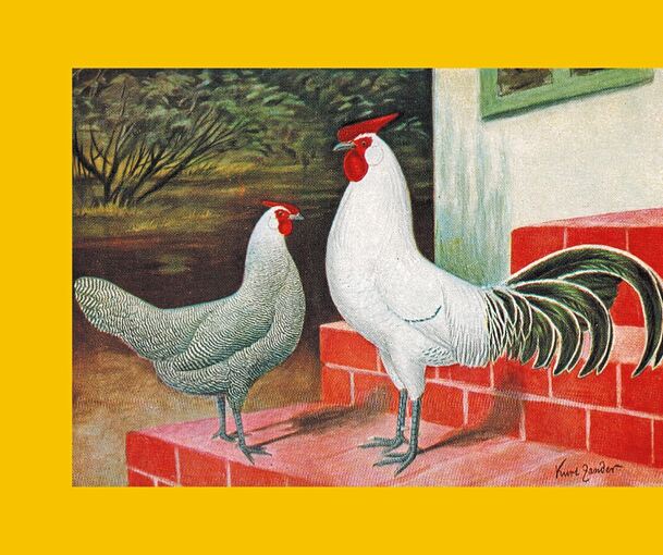 „Wenn man Huhn googelt, kommen die Verrücktesten Sachen.“ Seit März ist das Buch „Lied der Hühner“ von Axel Dornemann aus Sachsenheim auf dem Markt.