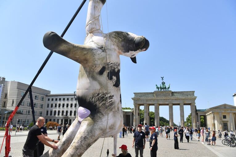 Protest am internationalen Tag gegen Tiertransporte