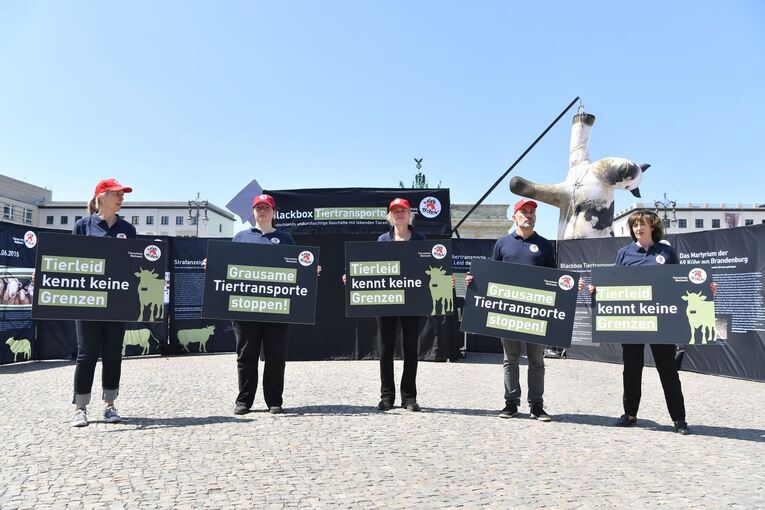 Protest am internationalen Tag gegen Tiertransporte