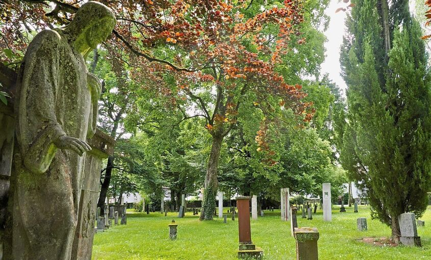 Im Schatten der Bäume des Alten Friedhofs stehen viele Grabsteine, die Stelen eines Kunstprojekts und einige Parkbänke.