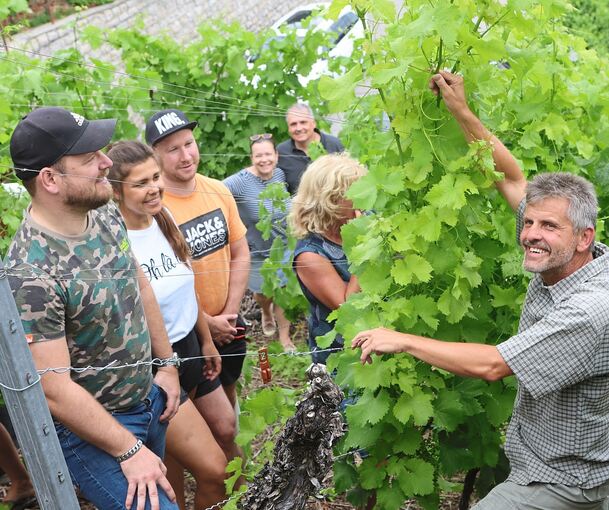 Die Hobby-Winzer von „Wir gehen steil“ lassen sich in Mundelsheim die Pflege eines Weinbergs erklären.