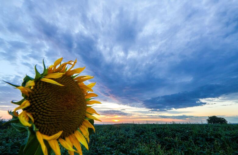 Wetter in Baden-Württemberg