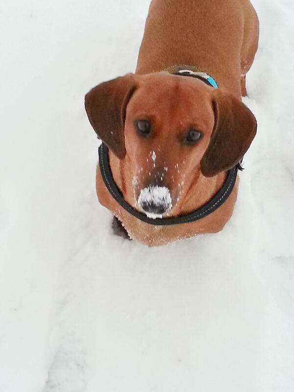 Winter_20130116_164606